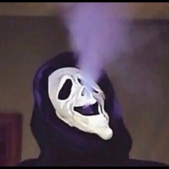 Meet your Posher, Piper - Picture 1 of 1